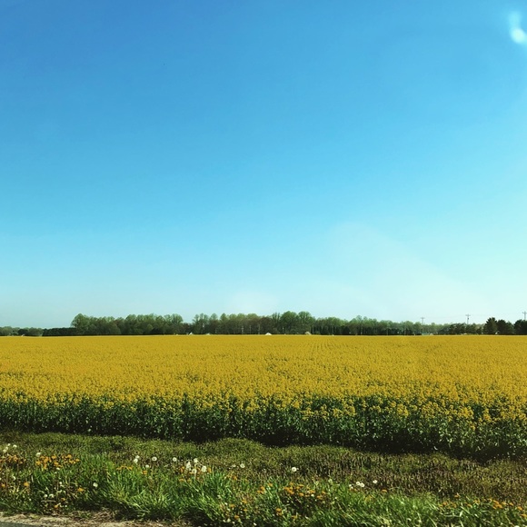 Meet your Posher, Anna - Picture 1 of 1